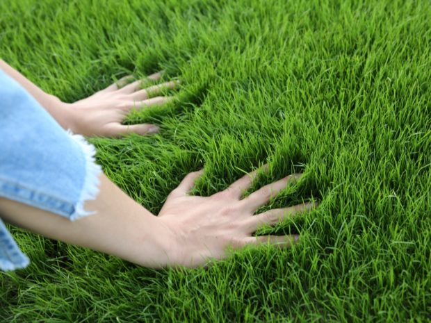 Дачнику на заметку: как легко и просто сделать триммер для стрижки травы своими руками