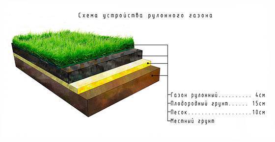 Схема дренажапод рулонный газон