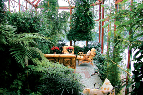 Тропические растения для зимнего сада