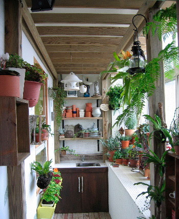 Живые растения на балконе