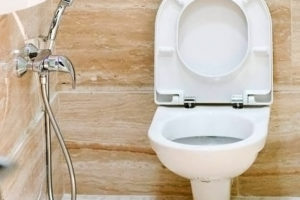 Гигиенический душ для унитаза: 8 советов по выбору