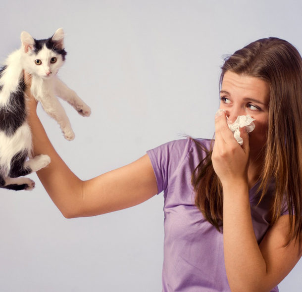 Убрать запах кошачьей мочи с дивана домашними средствами